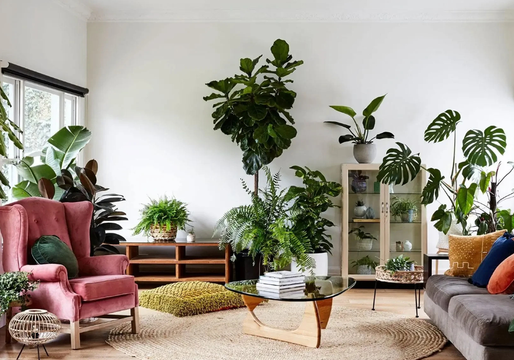 Benefits Of Air Purifying Houseplants For A Healthy Home